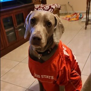 Meet your Posher, Beth